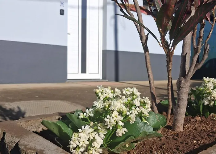 Arco-íris Apartamento